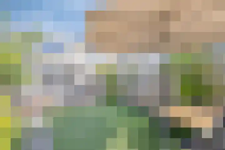 Vuurvlinder 40 Breda thumbnail 21