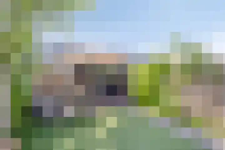 Vuurvlinder 40 Breda thumbnail 23
