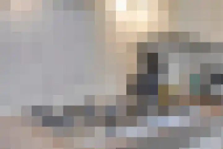 Vuurvlinder 40 Breda thumbnail 27