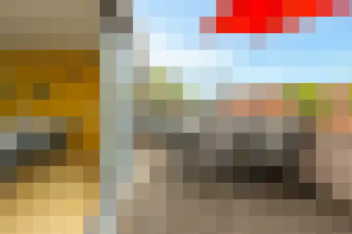 Vuurvlinder 40 Breda thumbnail 36