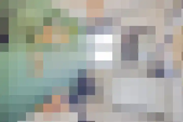 Vuurvlinder 40 Breda thumbnail 41