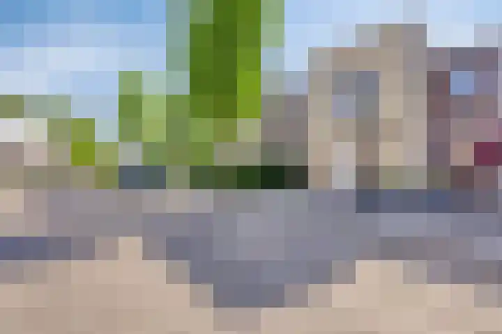 Vuurvlinder 40 Breda thumbnail 43