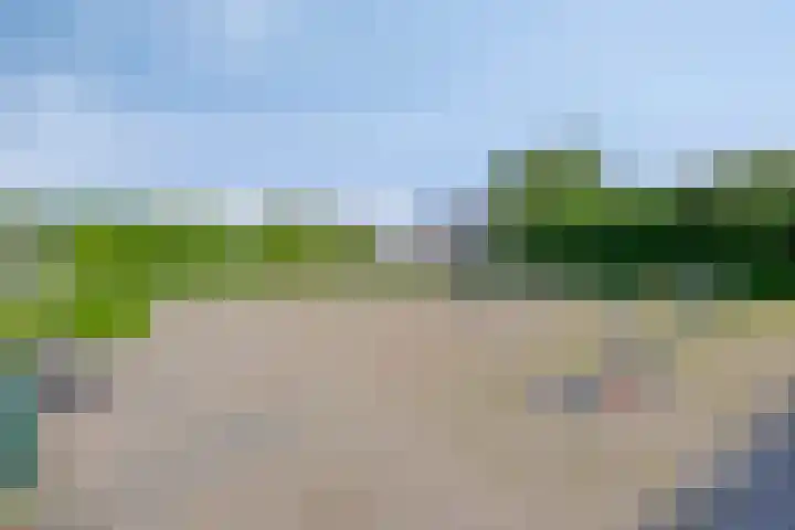 Vuurvlinder 40 Breda thumbnail 46