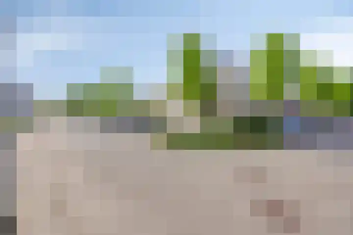 Vuurvlinder 40 Breda thumbnail 47