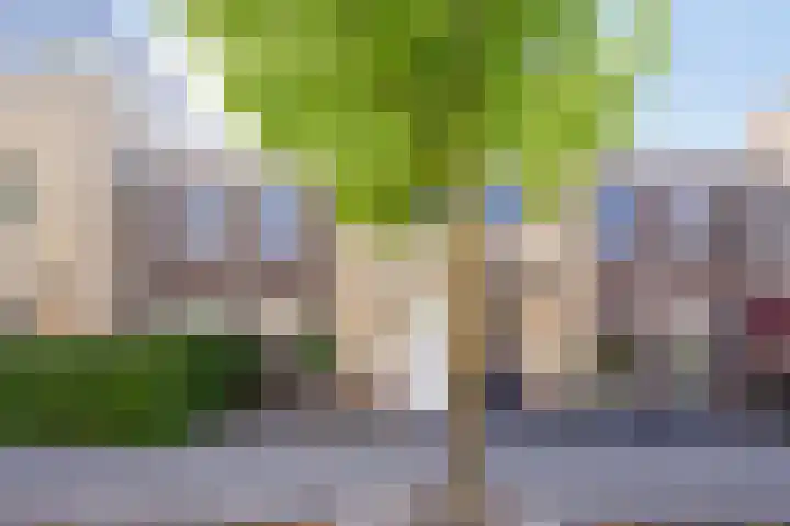Vuurvlinder 40 Breda thumbnail 51
