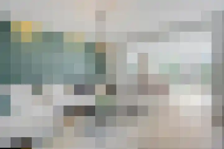 Vuurvlinder 40 Breda thumbnail 9