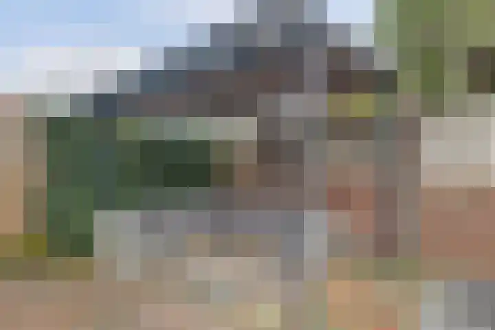 Vuurvlinder 9 Oss thumbnail 11