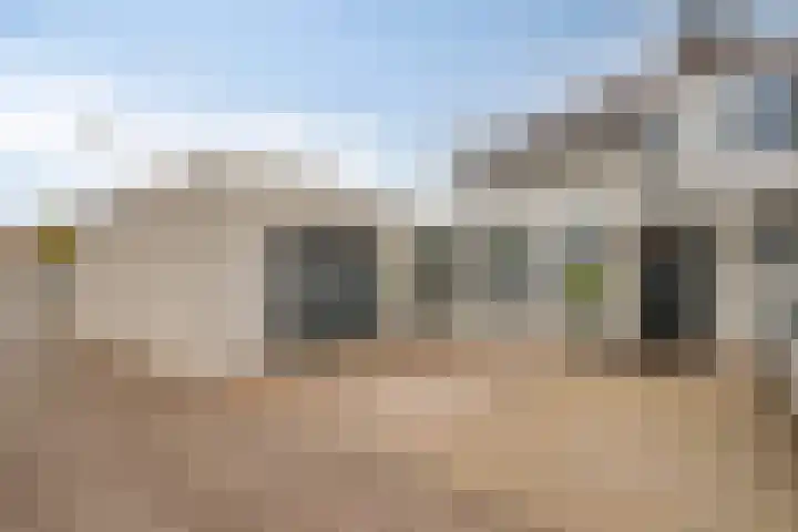 Vuurvlinder 9 Oss thumbnail 20