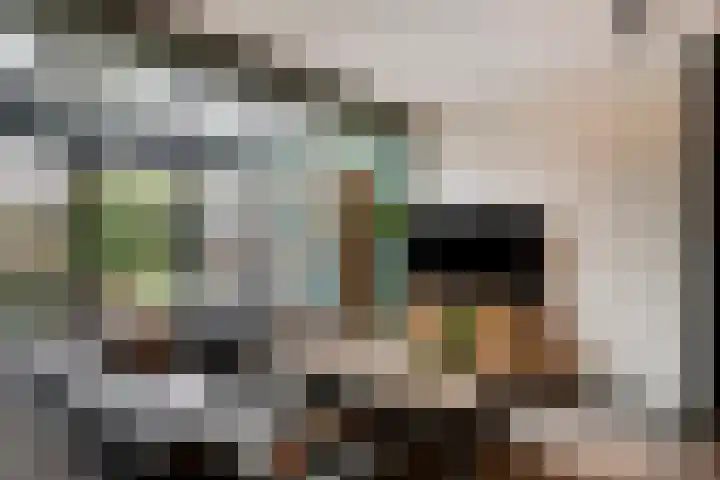 Vuurvlinder 9 Oss thumbnail 5