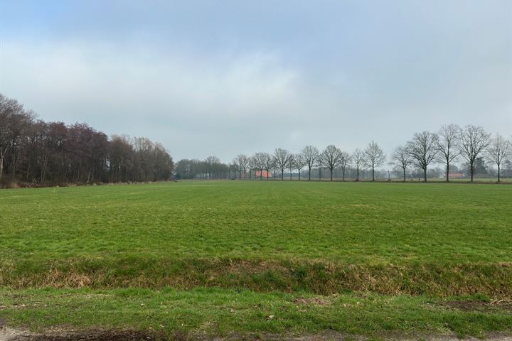 W.-B.-Scheidingsweg 6 in Hengevelde foto