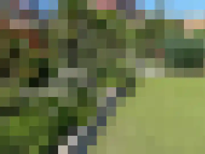 W. Dreeslaan 36 Winterswijk thumbnail 10