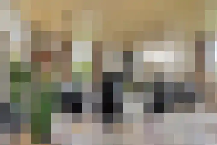 W. Dreeslaan 49 Winterswijk thumbnail 17