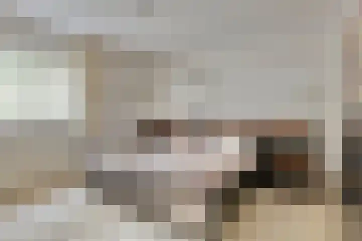 W. Dreeslaan 49 Winterswijk thumbnail 32