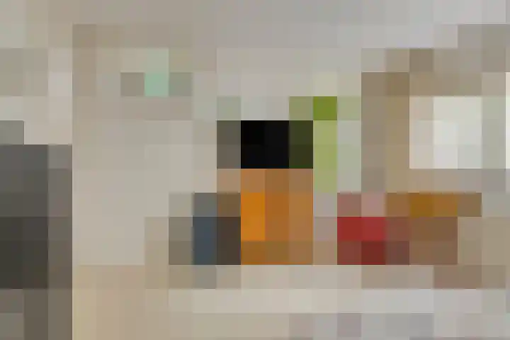 W. Dreeslaan 49 Winterswijk thumbnail 33