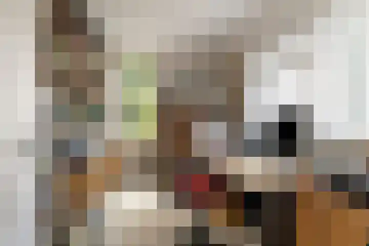 W. Dreeslaan 49 Winterswijk thumbnail 37