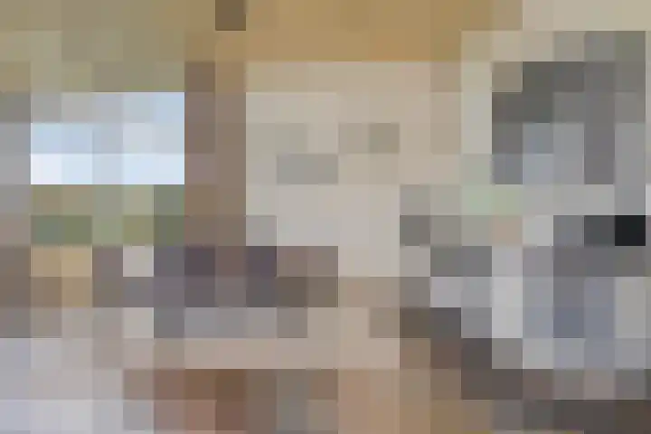 W. Dreeslaan 49 Winterswijk thumbnail 5