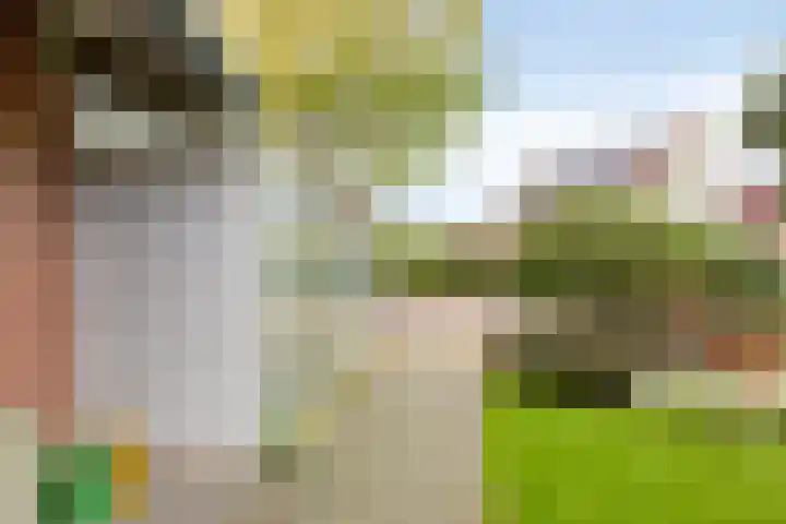 W. Dreeslaan 49 Winterswijk thumbnail 9