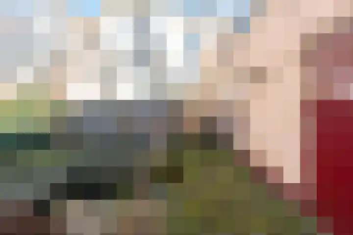 Foto van W.F.K. Bischoff van Heemskerck