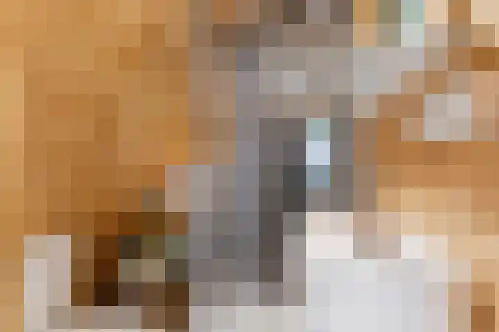 Logo W. Heeren Makelaardij