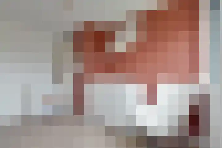 W Jaasmasingel 18 Dwingeloo thumbnail 18