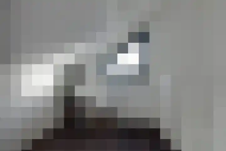 W Jaasmasingel 18 Dwingeloo thumbnail 25