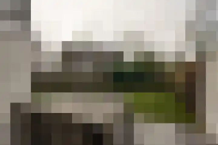 W Jaasmasingel 18 Dwingeloo thumbnail 29