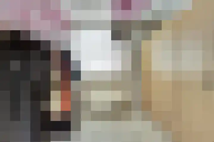 W Jaasmasingel 18 Dwingeloo thumbnail 40