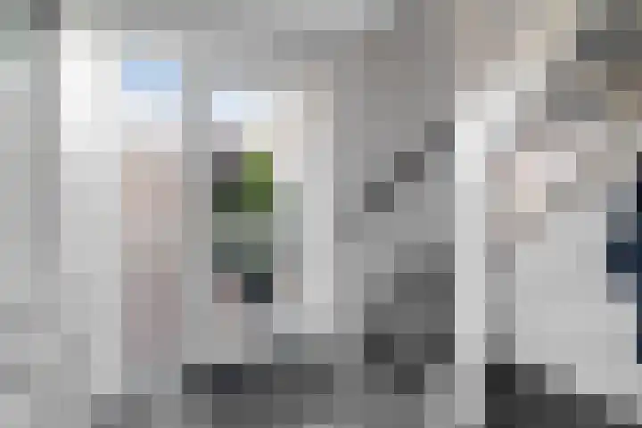 W Jaasmasingel 56 Dwingeloo thumbnail 14