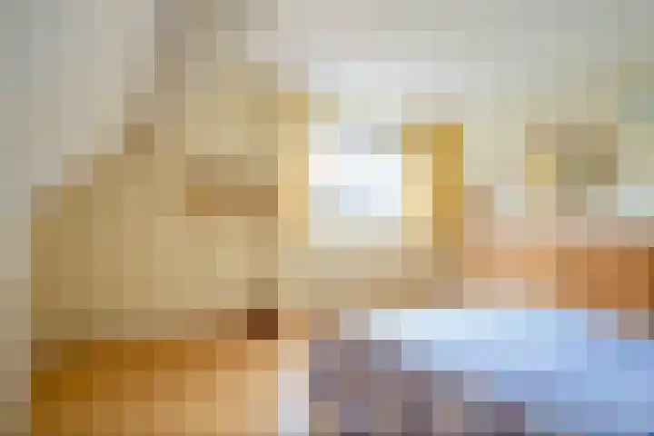 W Jaasmasingel 56 Dwingeloo thumbnail 14