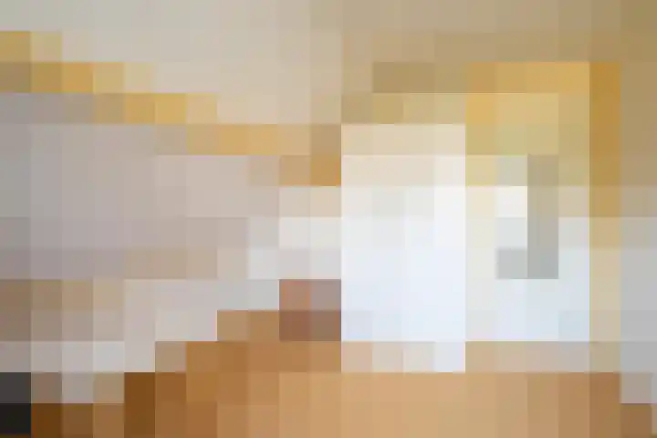 W Jaasmasingel 56 Dwingeloo thumbnail 17