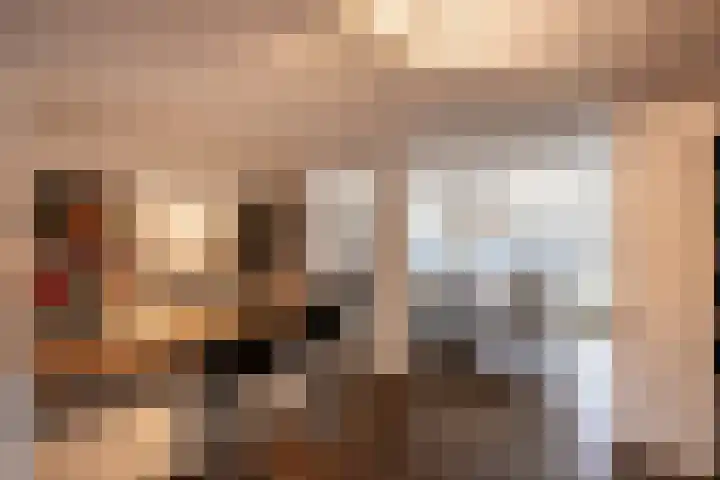W Jaasmasingel 56 Dwingeloo thumbnail 19