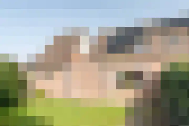 W Jaasmasingel 56 Dwingeloo thumbnail 22
