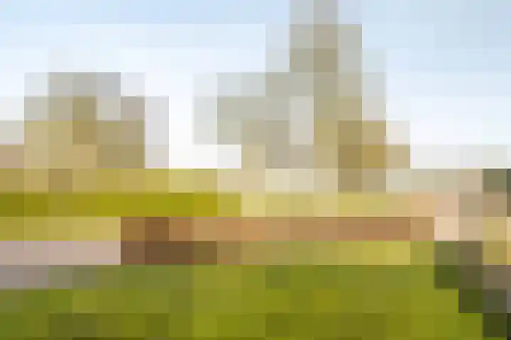 W Jaasmasingel 56 Dwingeloo thumbnail 28