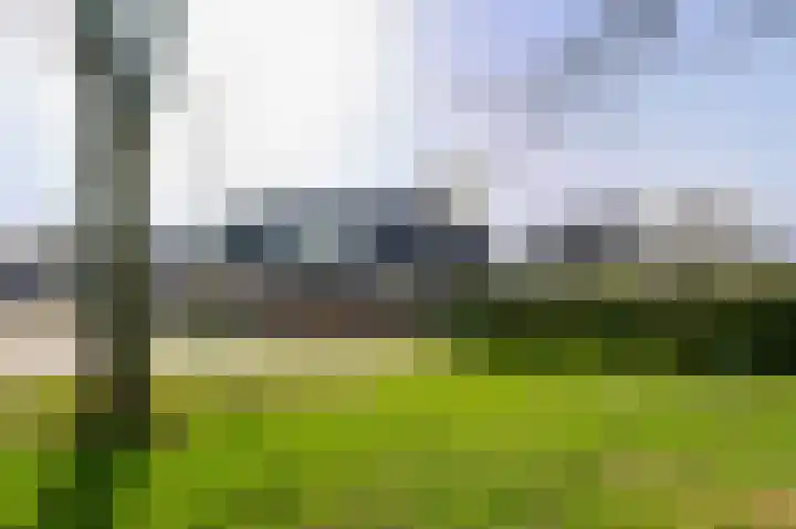 W Jaasmasingel 56 Dwingeloo thumbnail 33