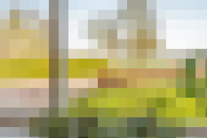 W Jaasmasingel 56 Dwingeloo thumbnail 7