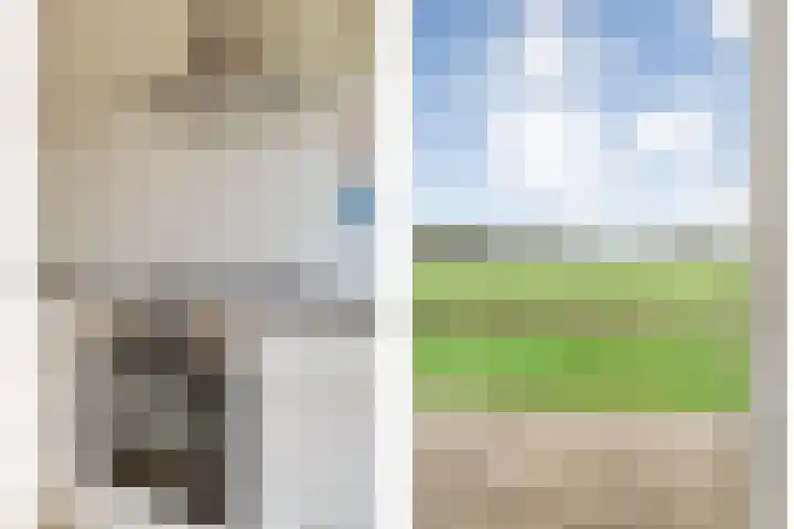 W Jaasmasingel 67 Dwingeloo thumbnail 29