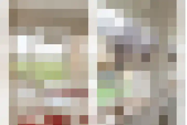 W Jaasmasingel 67 Dwingeloo thumbnail 30