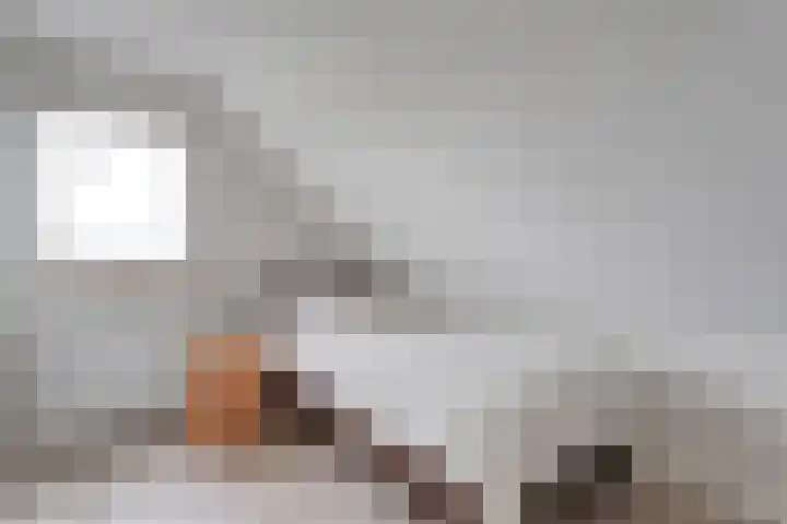 W Jaasmasingel 67 Dwingeloo thumbnail 34
