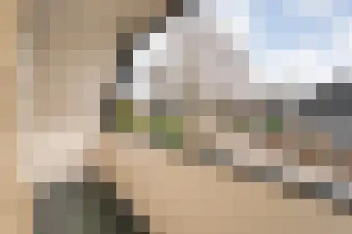 W Jaasmasingel 67 Dwingeloo thumbnail 39