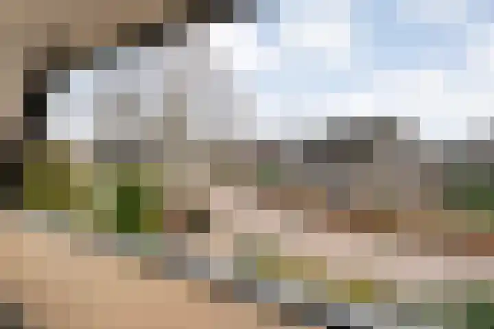 W Jaasmasingel 67 Dwingeloo thumbnail 41