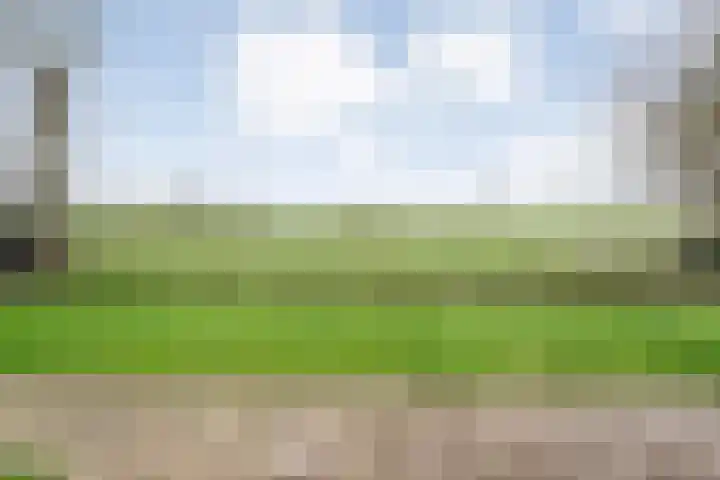 W Jaasmasingel 67 Dwingeloo thumbnail 45