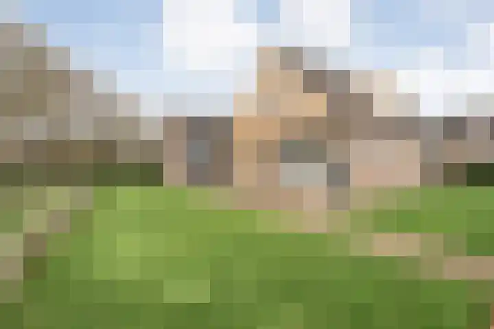 W Jaasmasingel 67 Dwingeloo thumbnail 48