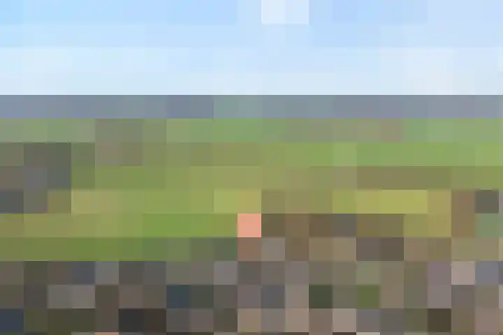 W Jaasmasingel 67 Dwingeloo thumbnail 5