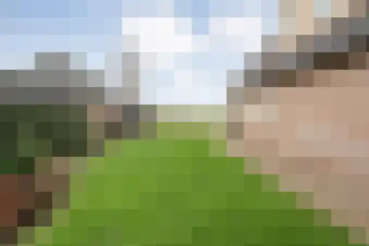W Jaasmasingel 67 Dwingeloo thumbnail 52
