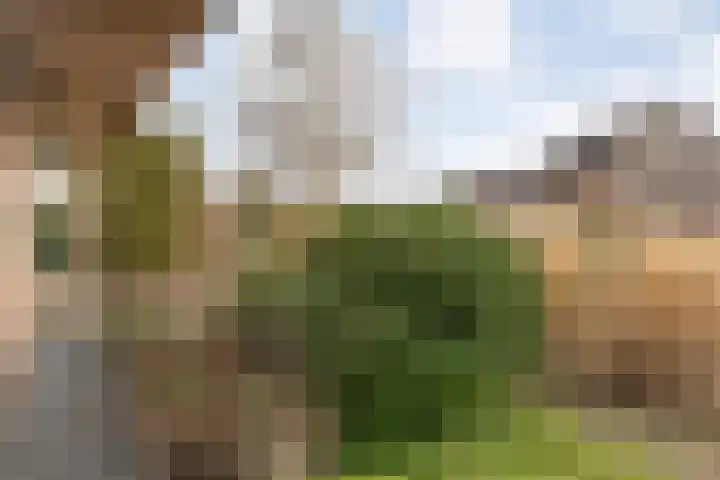 W Jaasmasingel 67 Dwingeloo thumbnail 53