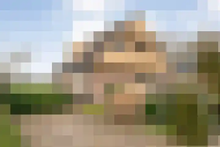 W Jaasmasingel 67 Dwingeloo thumbnail 54