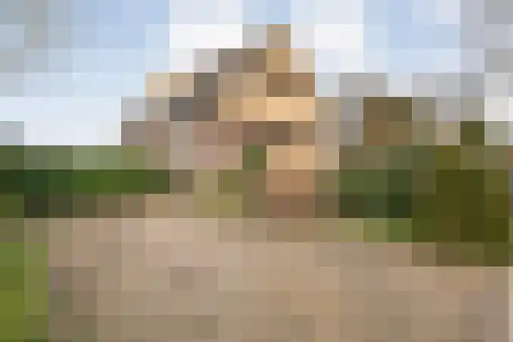 W Jaasmasingel 67 Dwingeloo thumbnail 55