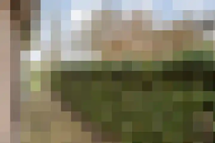 W Jaasmasingel 67 Dwingeloo thumbnail 56