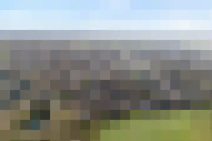 W Jaasmasingel 67 Dwingeloo thumbnail 6