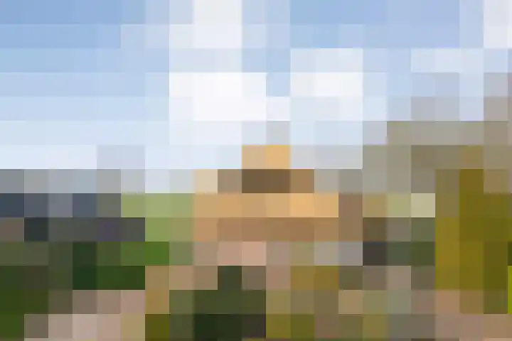 W Jaasmasingel 67 Dwingeloo thumbnail 62
